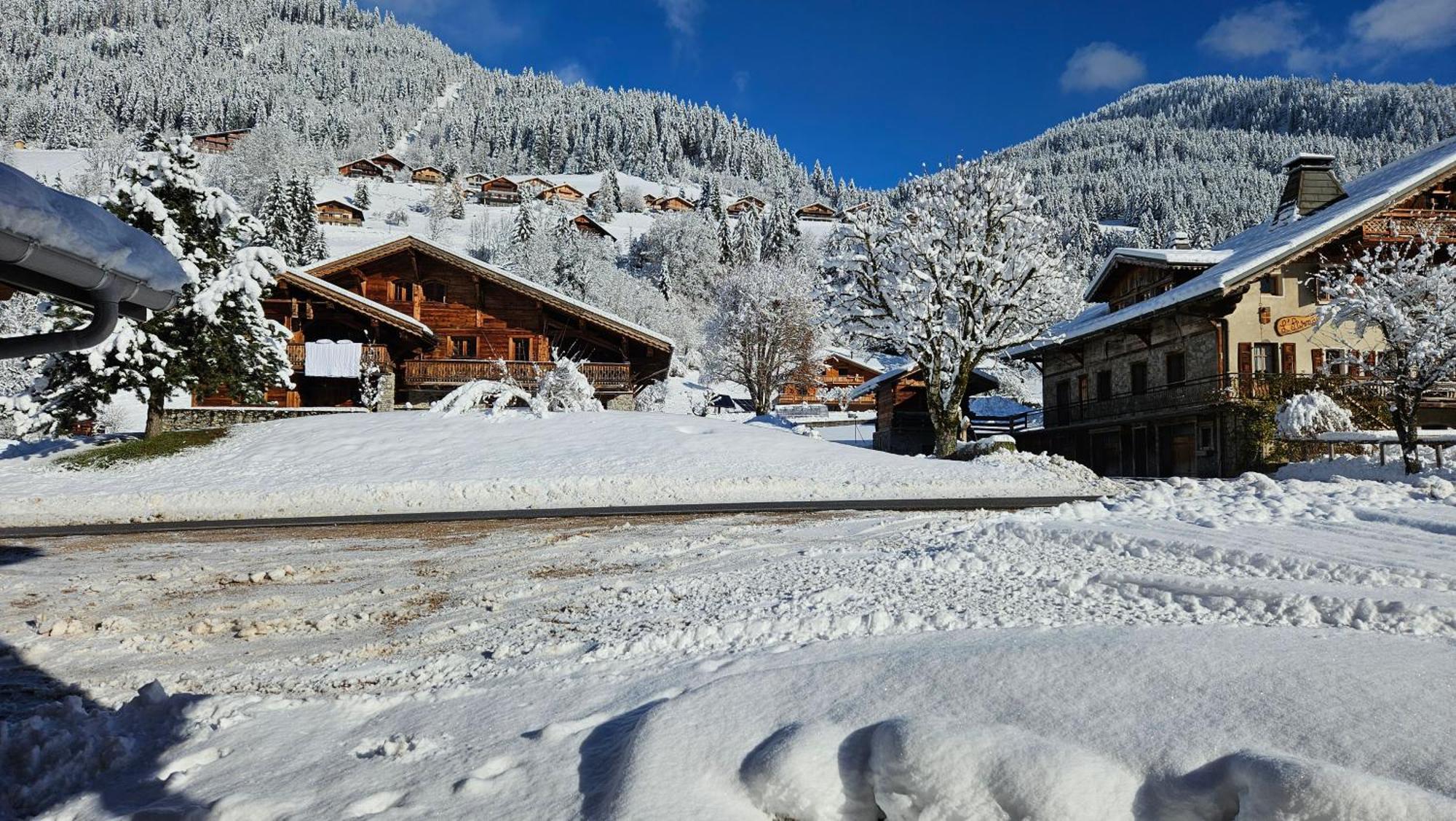 Demi-Chalet Vadel La Panthiaz 15 Pers 5 Chambres Abondance Extérieur photo